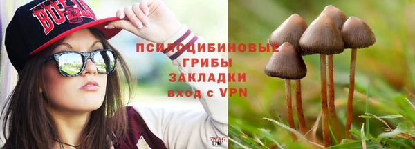 ешки Абинск