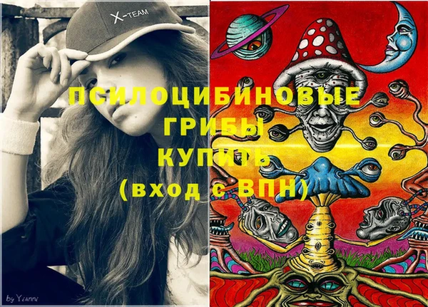 ешки Абинск