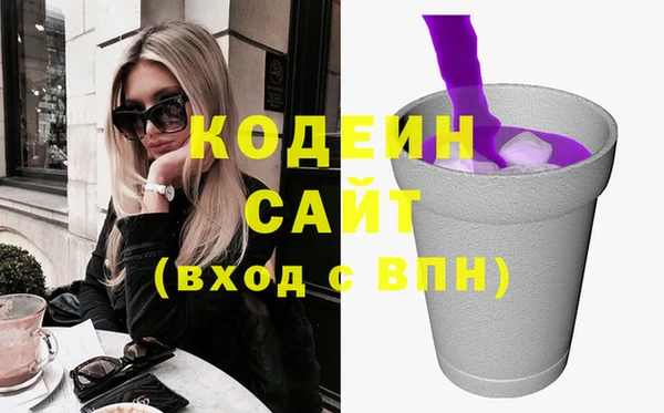 индика Переславль-Залесский