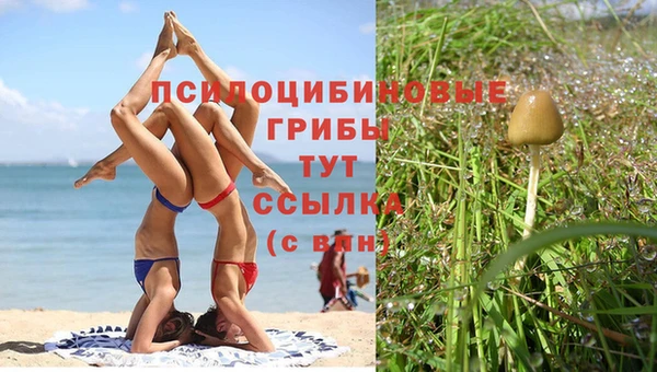 прущая мука Покачи