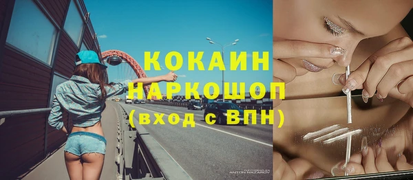 индика Переславль-Залесский